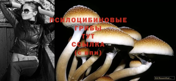 spice Бородино
