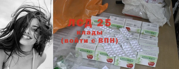 spice Бородино